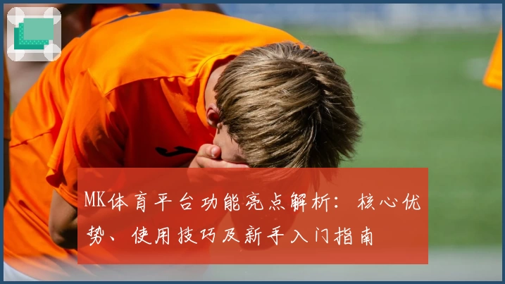 MK体育平台功能亮点解析：核心优势、使用技巧及新手入门指南